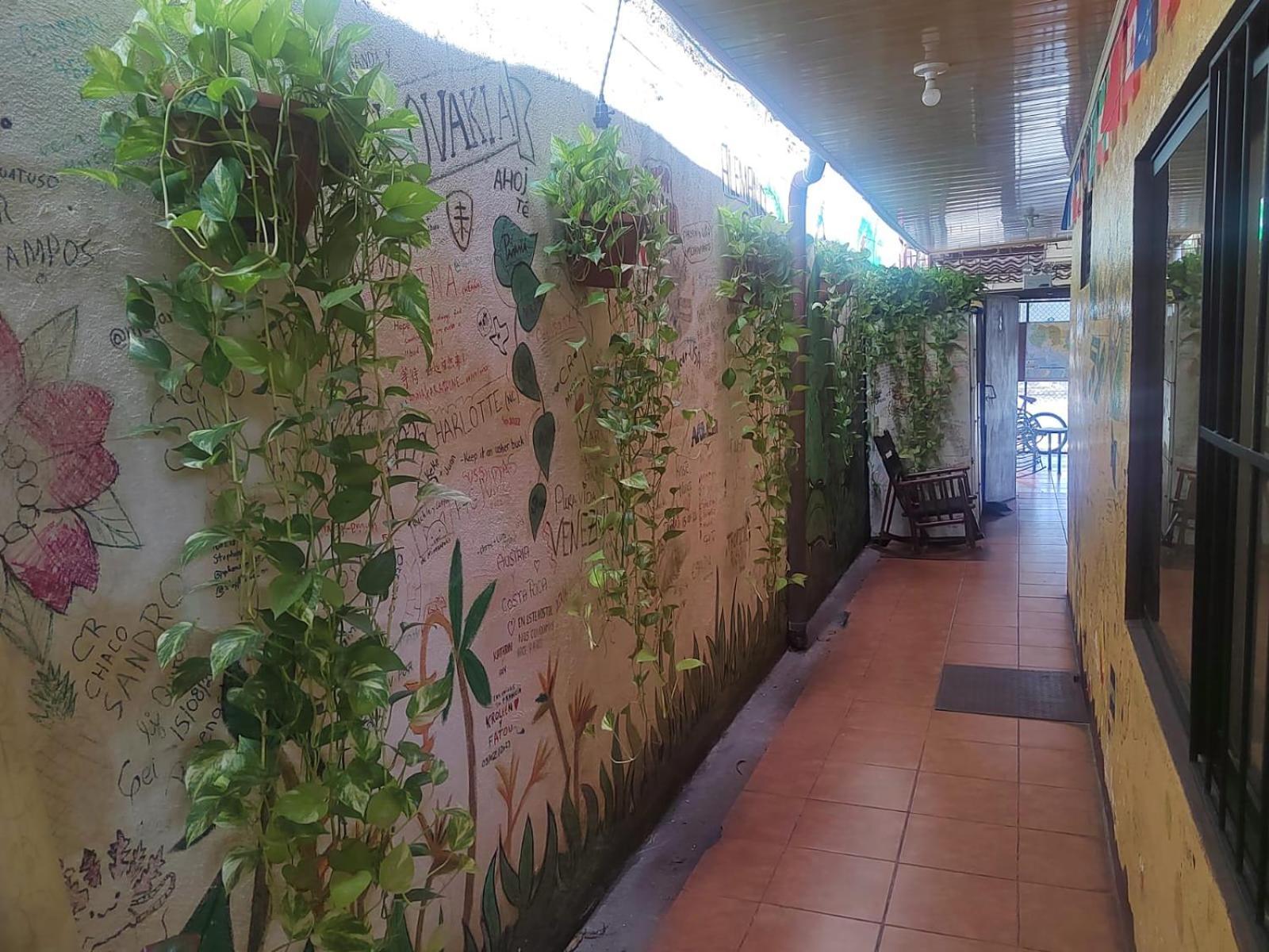 Hostel Pura Vida En 利比里亚 外观 照片